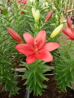 [5079 Atacama No01.JPG]